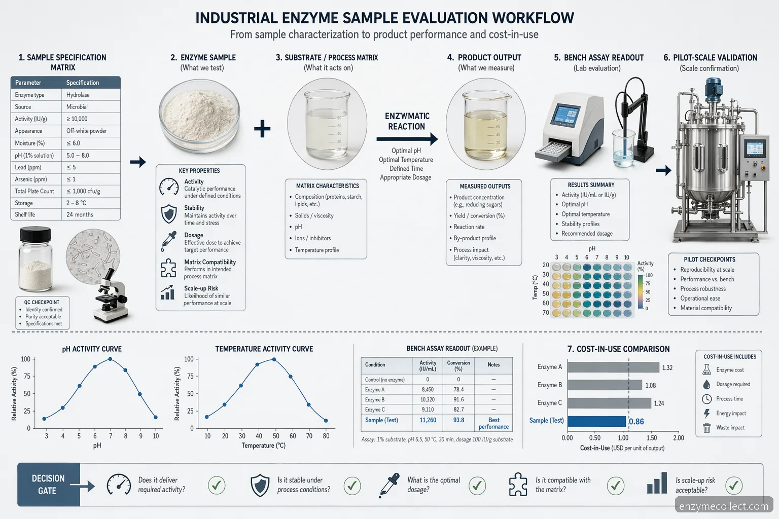 Lieferant für Enzymproben für F&E: Workflow-Diagramm mit pH, Temperatur, Aktivität und Prüfpunkten zur Skalierung