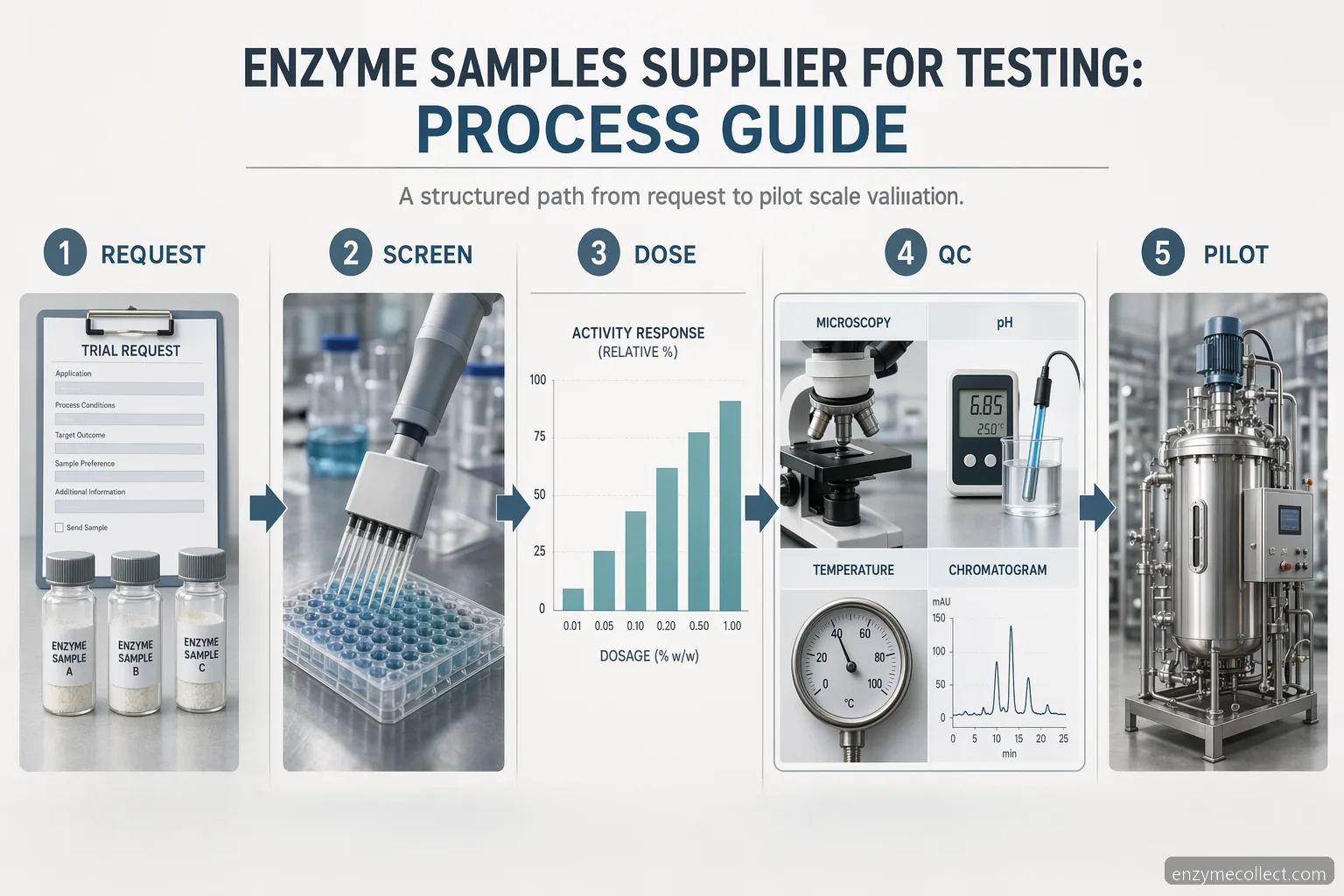 enzyme samples supplier for testing process guide, showing lab trial request, dosage bands, QC checks, and pilot validation