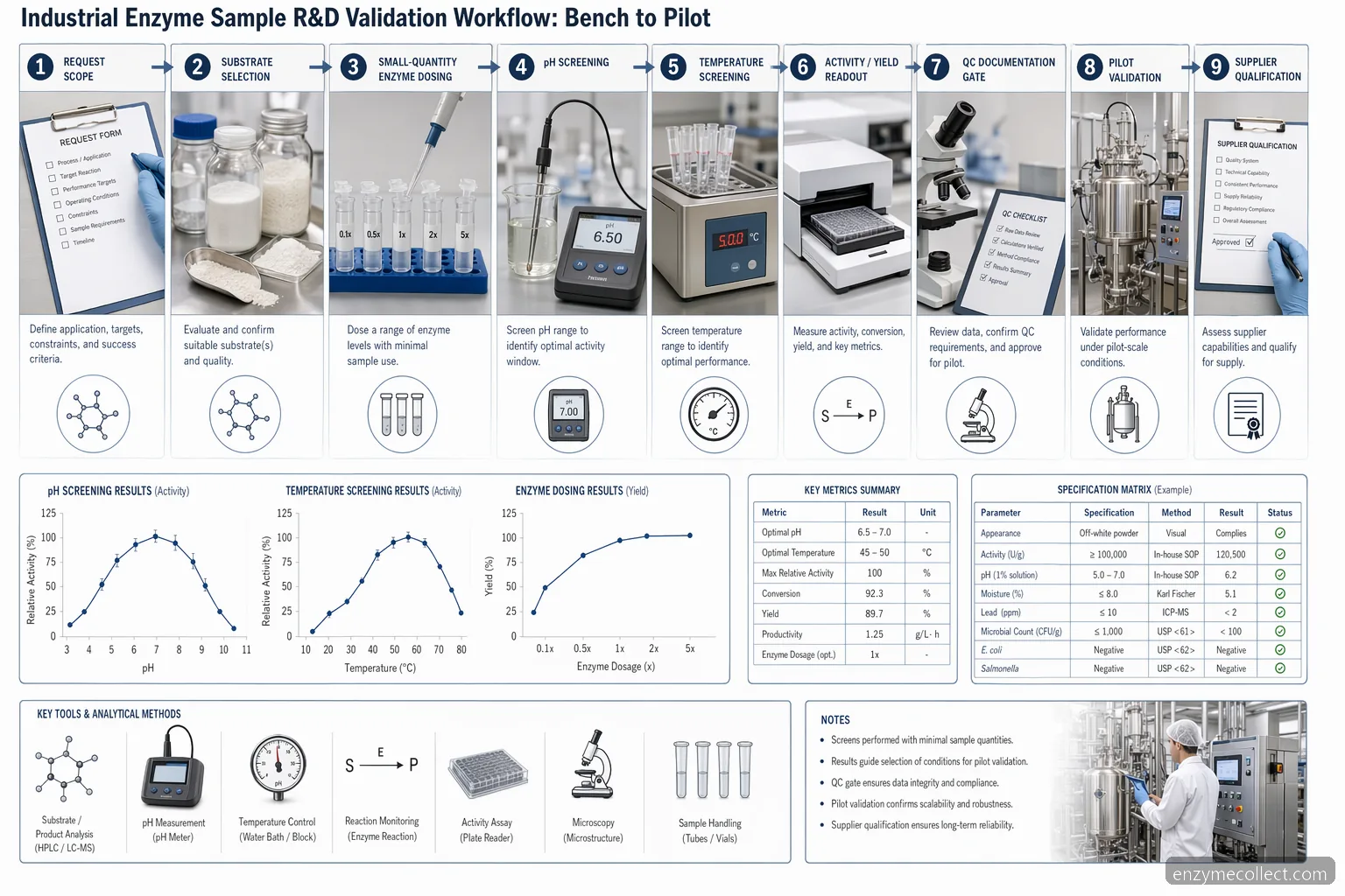 industrial enzyme samples r&d practical process guide, bench-to-pilot workflow with pH, temperature, QC gates