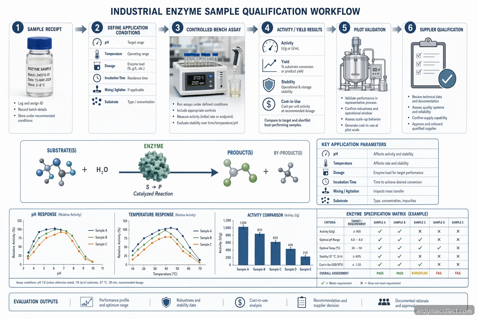 industrial enzyme samples testing process diagram maps pH, temperature, dosage, assay results, and pilot validation