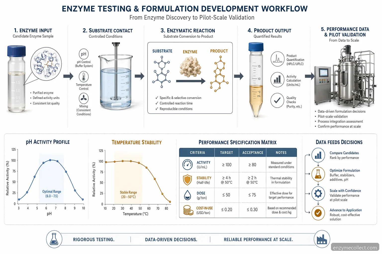 Procesdiagram for industrial enzyme testing til R&D og formulering, der forbinder pH, temperatur, substrat og opskalering