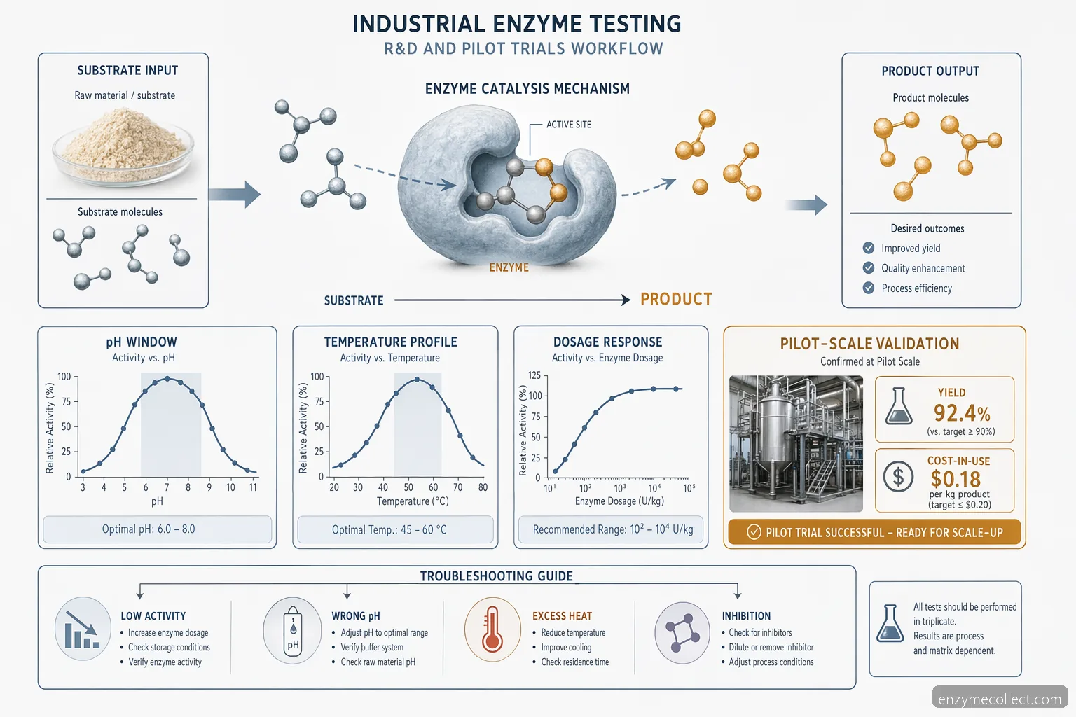 Procesdiagram for industrial enzyme testing til pilotforsøg med workflow fra substrat til produkt og pH- og temperaturvinduer