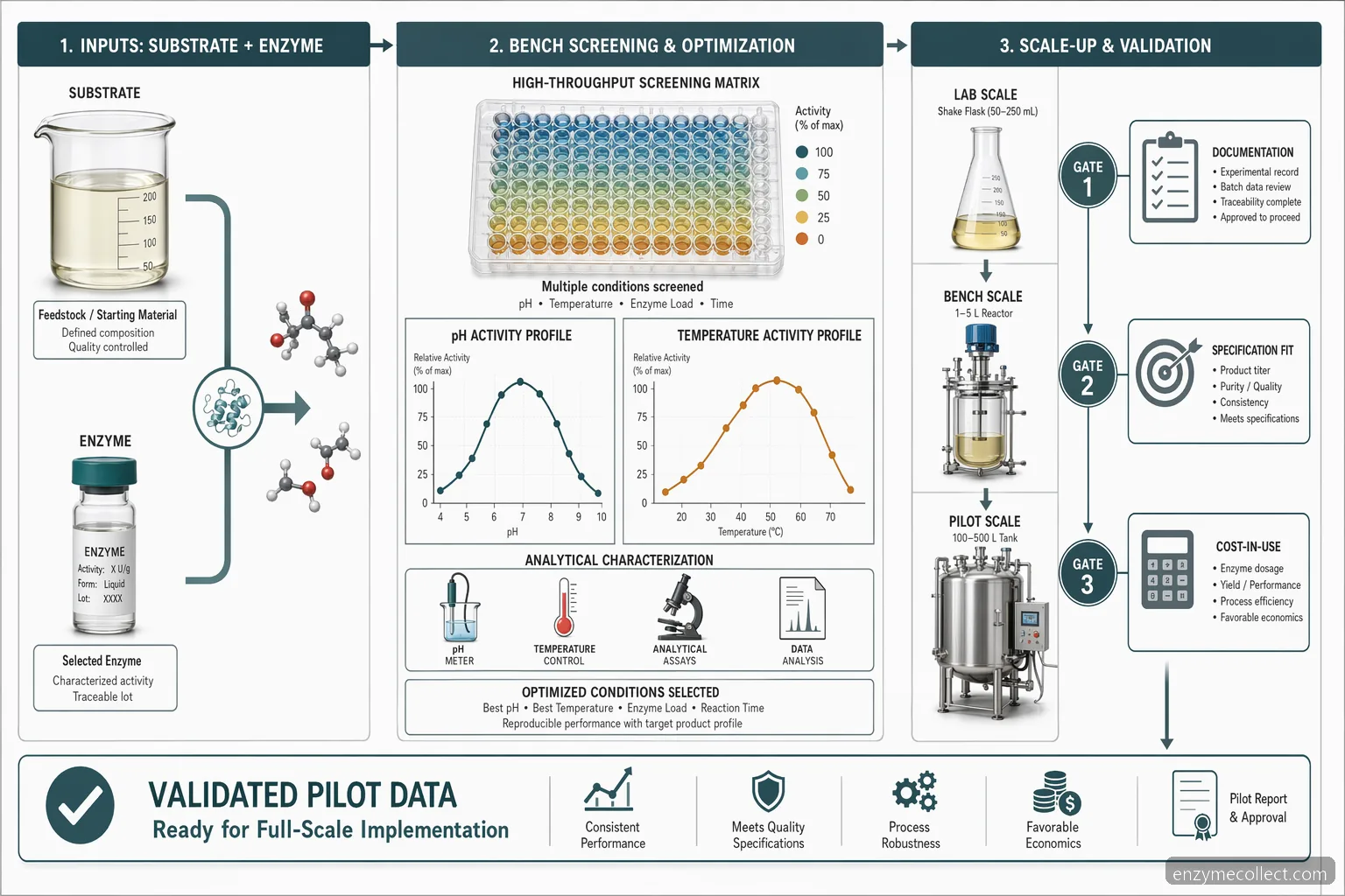 Workflow for industrial enzyme trial order til R&D med pH- og temperaturkurver, substratreaktion og gates for opskalering